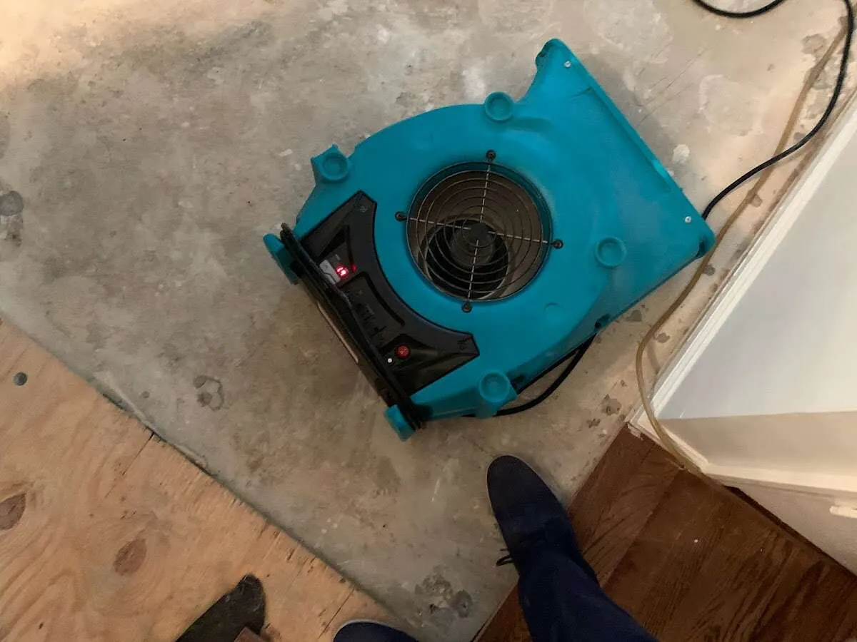 Air mover drying subfloor during Leak Detection & Repair in Cynthiana